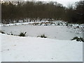 Frozen pond in Aversley Wood in PE28 5WT