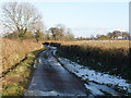 Minor road near Clyst St Mary in EX5 1QJ