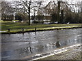 A flooded road, and pond with geese in Rushmere St Andrew