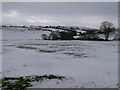 Snowy Landscape, west of Rhydgaled in LL16 5SE