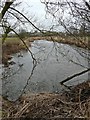River Blithe between Nethertown and Hamstall Ridware in WS15 3SE