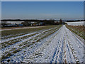 Footpath to Lark Hall in CB8 0UR