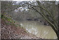 River Medway near East Peckham in TN12 5HJ