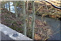 View of Lilylorn Burn looking north westwards in DD9 6UH