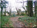Footpath near Damerham in SP6 3EU