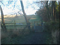 Footpath on the edge of Tiddesley Wood in WR10 3BY