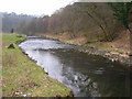 River Darwen in BB2 5JA