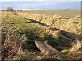 Footbridge and path to Boyton Hall farm in IP14 2NJ
