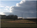 Field, copse and line of pylons in IP14 2NJ