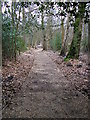 Footpath near Wildmoor Heath in RG45 7JL
