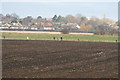 Fieldwalking at Washingborough in LN4 1AA