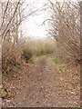 Bridleway, Green Lane from White End to Chesham in Chess Valley Ward