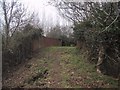 Bridge over now disused railway in the Otter Valley at Dotton in EX10 0JY