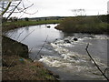 Bend on the River Clyde in ML1 2SJ