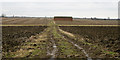 Track, barn and fields in Fillingham