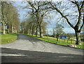 2009 : Driveway to Marston House in BA11 5DJ