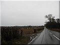 Heading past Edrom Newton in TD11 3PU
