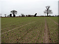 Footpath across field in NR28 0JJ