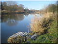 Fishing stand near Strensham in WR10 3BG