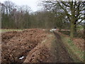 Robin Hood Way approaching Hazel Gap Wood in NG22 9EY