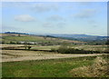 2009 : Fields west of Priston in BA2 9EH