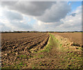 Path following a field boundary in NR12 7HX