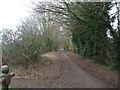 Trackbed/footpath looking towards Norwich in NR5 0DB
