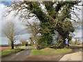 Two country lanes meet in NR12 7DT