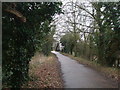 Marriot's Way footpath looking towards the A frame bridge in NR5 0DB