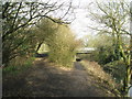 Approaching a path junction on Canal Walk in SO51 0BB