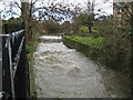 Hogsmill River in Kingston upon Thames in KT1 2SE