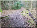 Path, Langley Wood in SP5 2PB