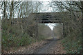 Bridge over Trans Pennine Trail in S75 3SB