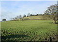 2009 : Pasture north of the B3115 in BA2 0HH