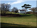Dyffryn, with a Scots pine in SA42 0SR