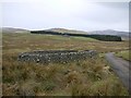 Sheepfold beside road to Ewartly Shank in Alnham