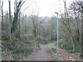 Tunbury Avenue, Walderslade Woods in ME5 9BX