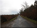 Country road passing Newbigging Bush Farm in TD8 6RJ