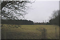 Rockley Abbey woodlands from the north in S75 3AS