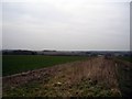 Farmland north of Itchen Stoke in Alresford & Itchen Valley Ward