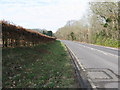 Looking west with Bentley wood on the right in BN8 6EL