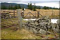 Gates, walls, fences and a stile on Middle Hill in EH45 8PZ