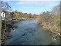 River Teme upstream from Stanford Bridge in WR6 6RU