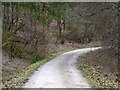 Track, Balfour's Wood in DT11 8LH
