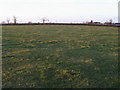 Field down to Arncott Road in Piddington