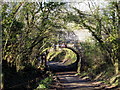 South side of Pipplepen Bridge in North Perrott