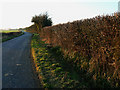 The road to the A3102, east of Hilmarton in SN11 8SQ
