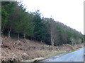 Coed Blaen-y-Coed in LL24 0NY