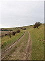 Track to Rookery Hill in BN9 0EE