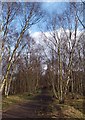 Permissive path RSPB Fairburn Ings in WF11 9JN